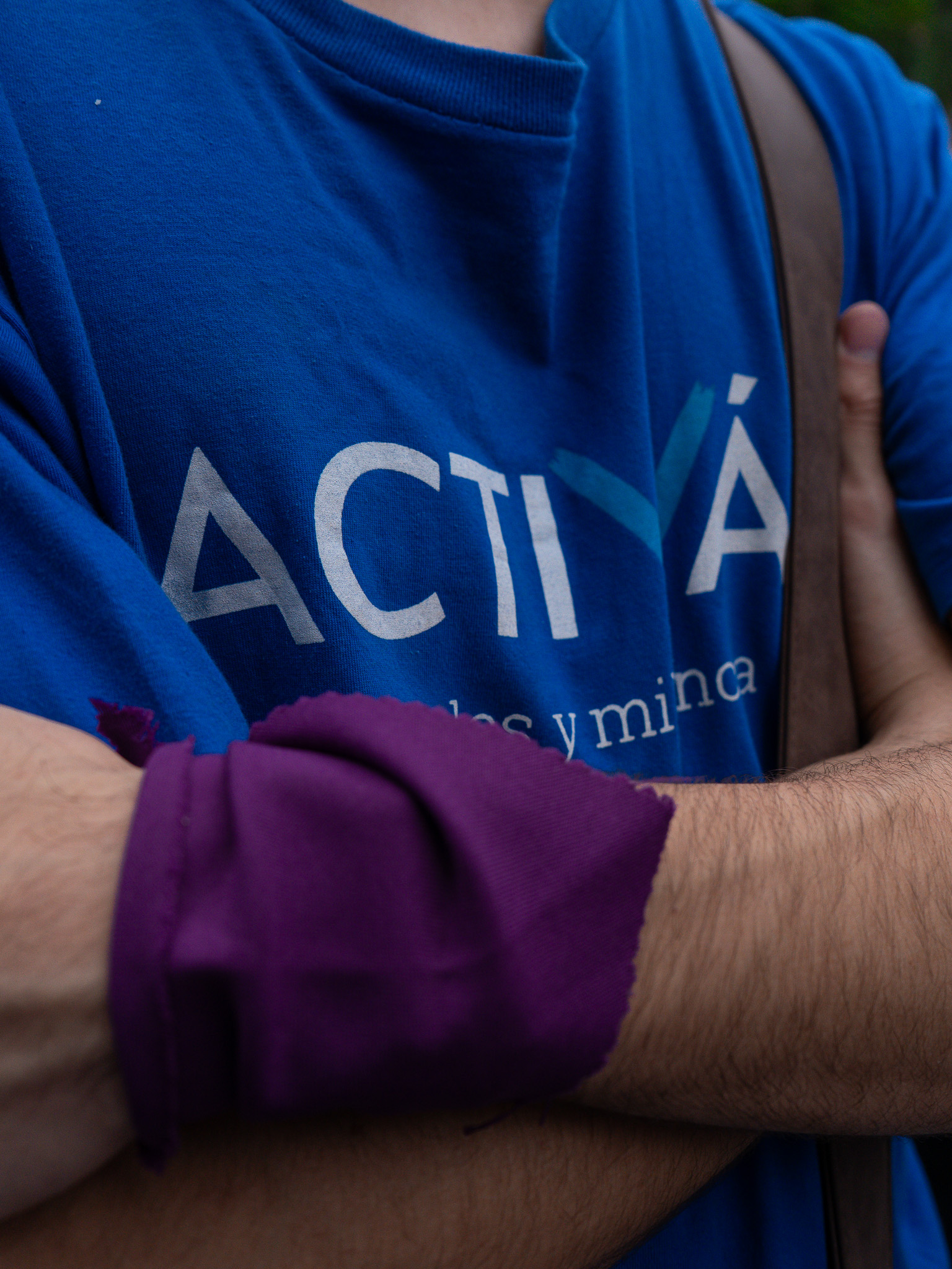 Vista general de la marcha y su bandera principal